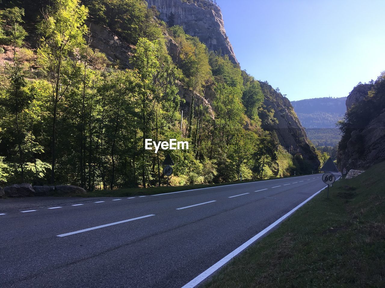 EMPTY ROAD ALONG TREES