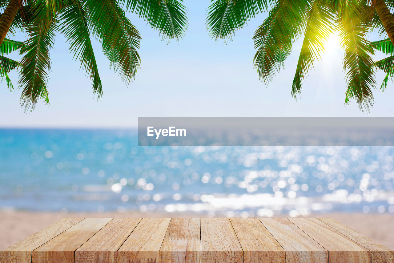 PALM TREE BY SWIMMING POOL AGAINST SEA