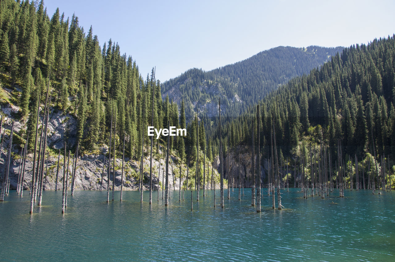 Scenic view of lake and mountains against clear sky