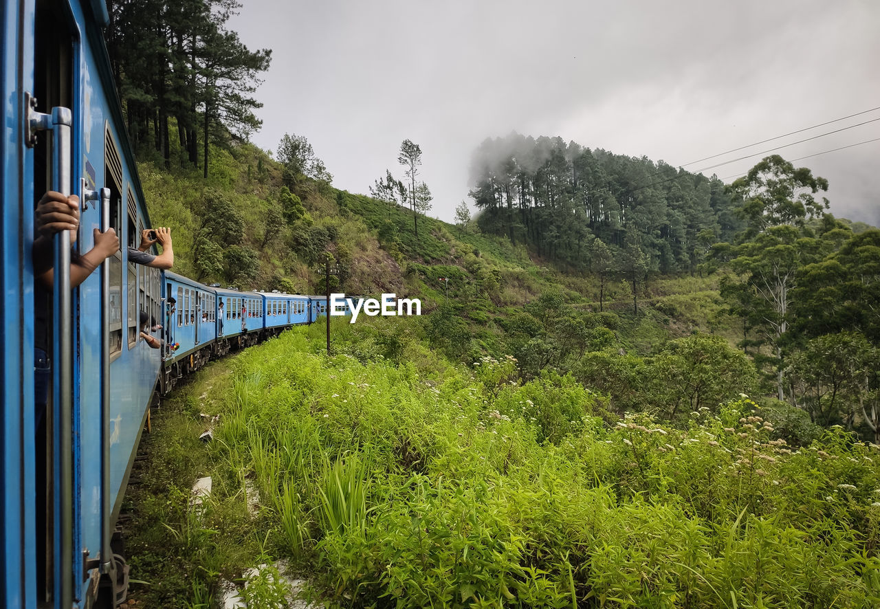 Scenic view of train 