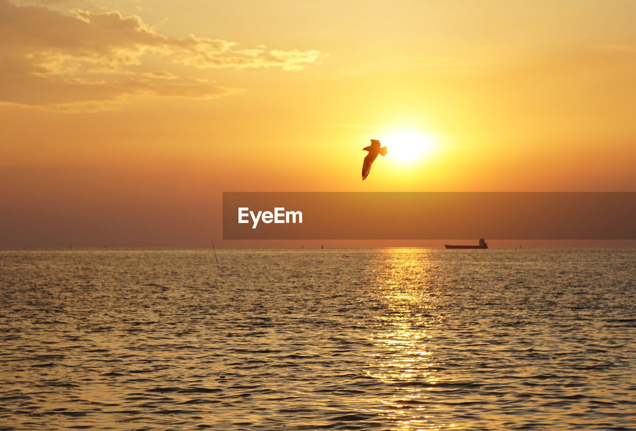 SILHOUETTE OF MAN JUMPING IN SEA AGAINST SKY DURING SUNSET