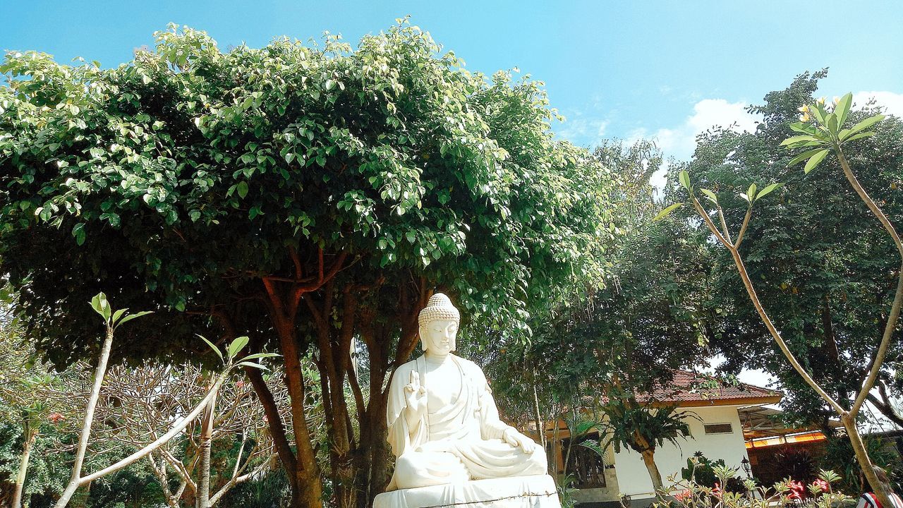 STATUE AGAINST TREES