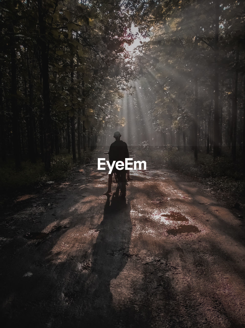 Rear view of man walking in forest