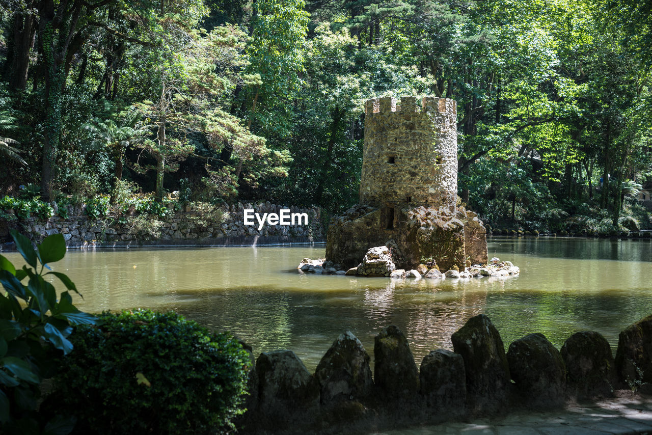 View of tree on rock against trees