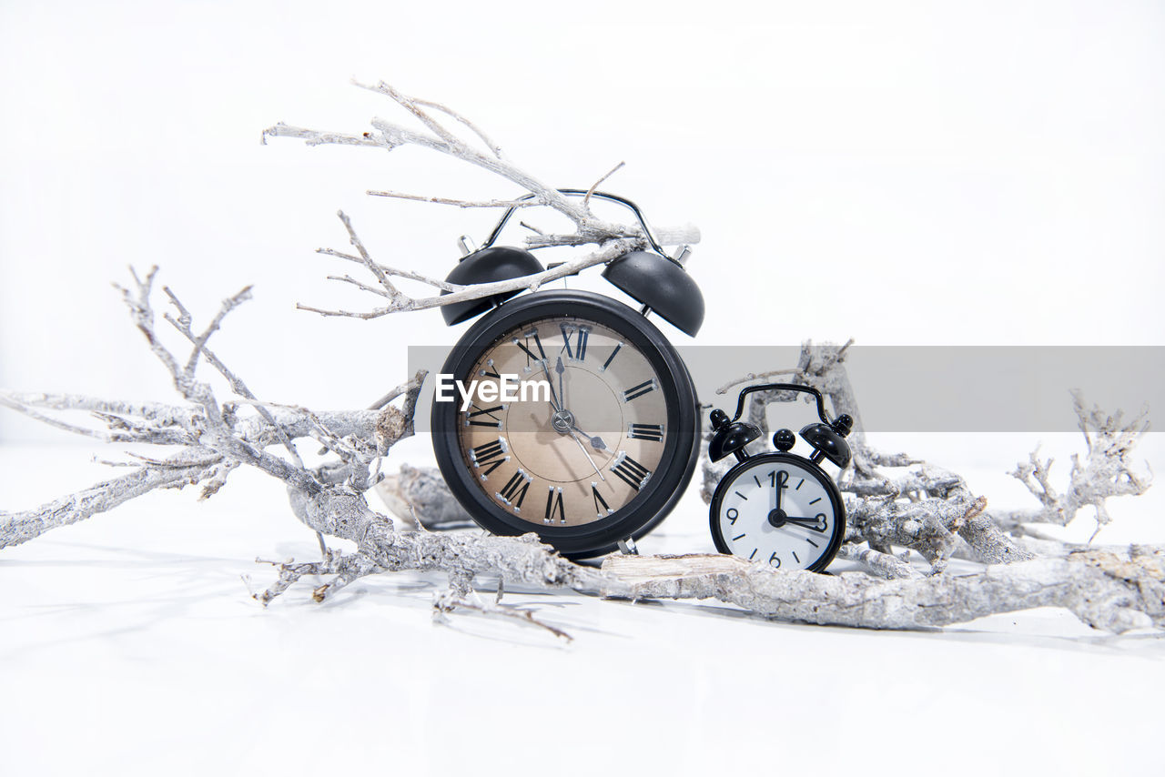 CLOSE-UP OF CLOCK ON TREE