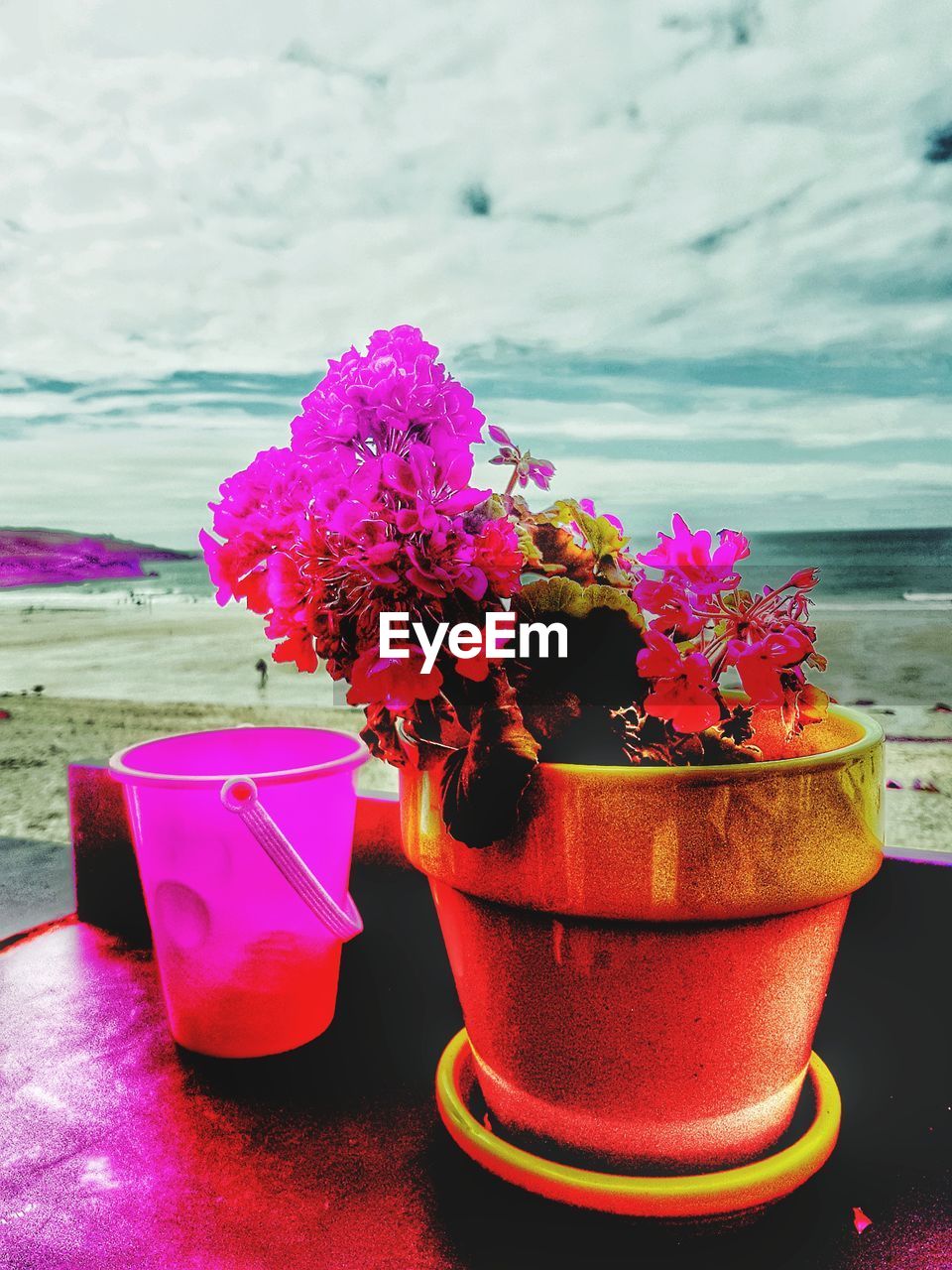 CLOSE-UP OF FLOWER ON TABLE BY SEA