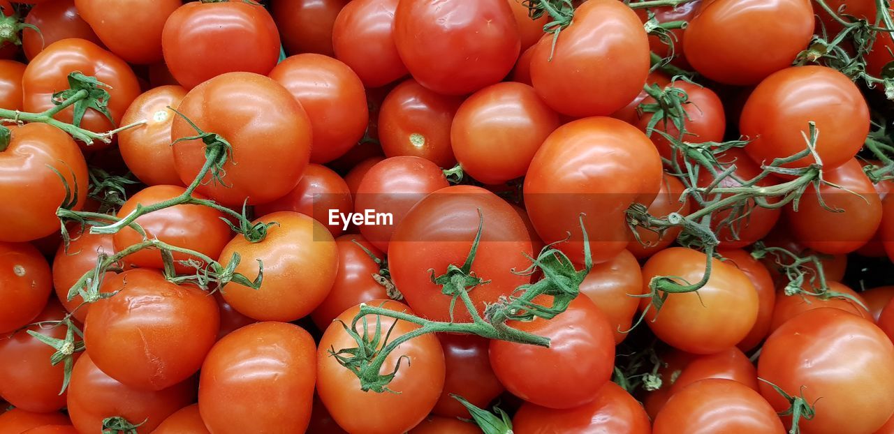 CLOSE-UP OF TOMATOES FOR SALE