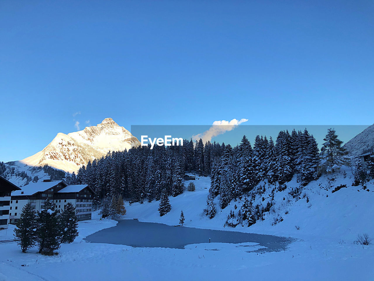 snow, winter, cold temperature, mountain, scenics - nature, mountain range, sky, beauty in nature, environment, tree, landscape, nature, blue, plant, snowcapped mountain, pine tree, coniferous tree, forest, pinaceae, tranquil scene, land, no people, pine woodland, tranquility, travel destinations, clear sky, travel, ridge, non-urban scene, frozen, outdoors, woodland, day, mountain peak, copy space