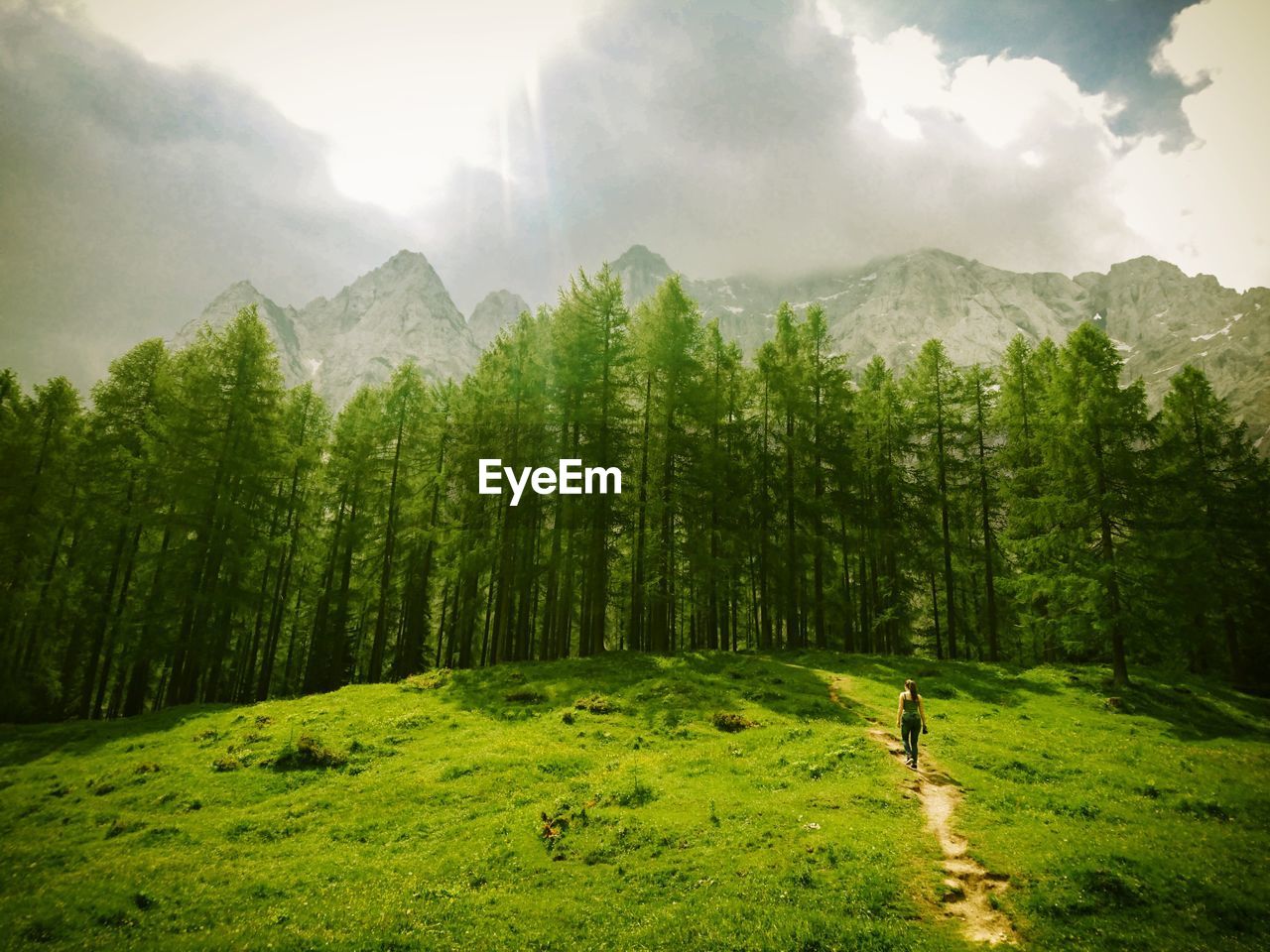 Rear view of woman walking on grassy field at forest