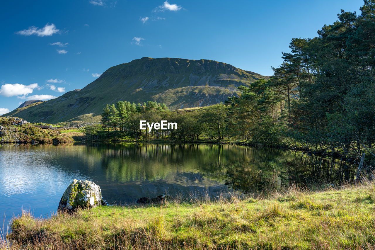 SCENIC VIEW OF LAKE AND TREES AGAINST SKY