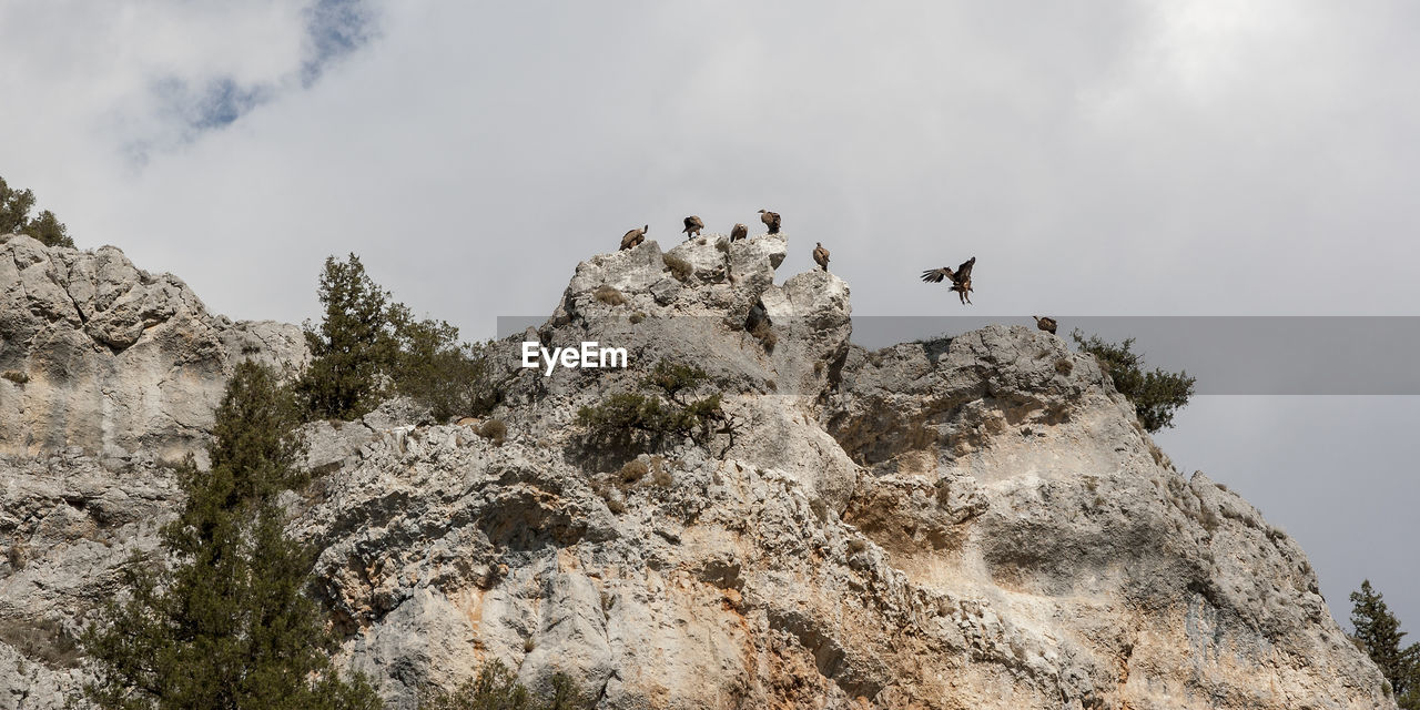 LOW ANGLE VIEW OF A ROCK