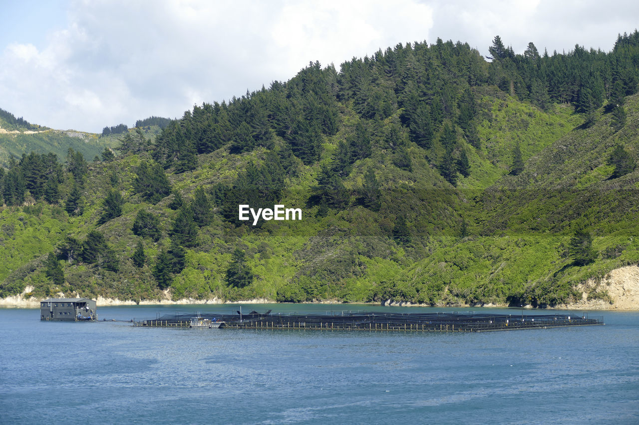 Fish farm at queen charlotte sound in new zealand