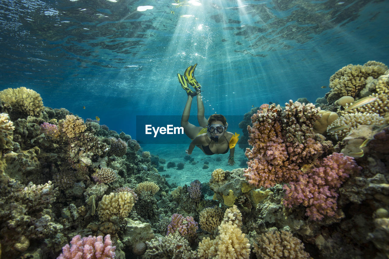 Egypt, red sea, hurghada, teenage girl snorkeling at coral reef