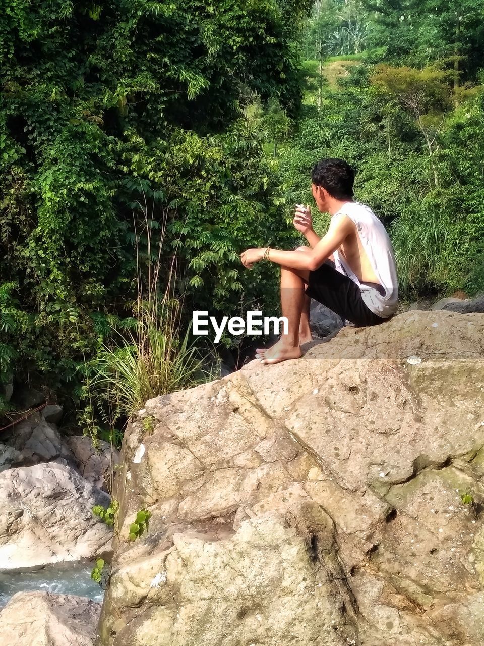 Side view of young man sitting on cliff in forest