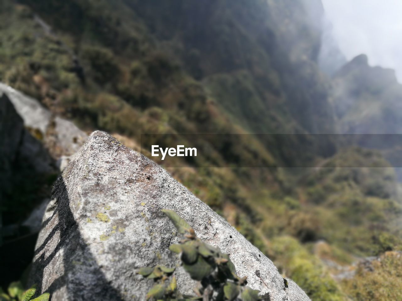 CLOSE-UP OF ROCKS ON ROCK AGAINST MOUNTAIN