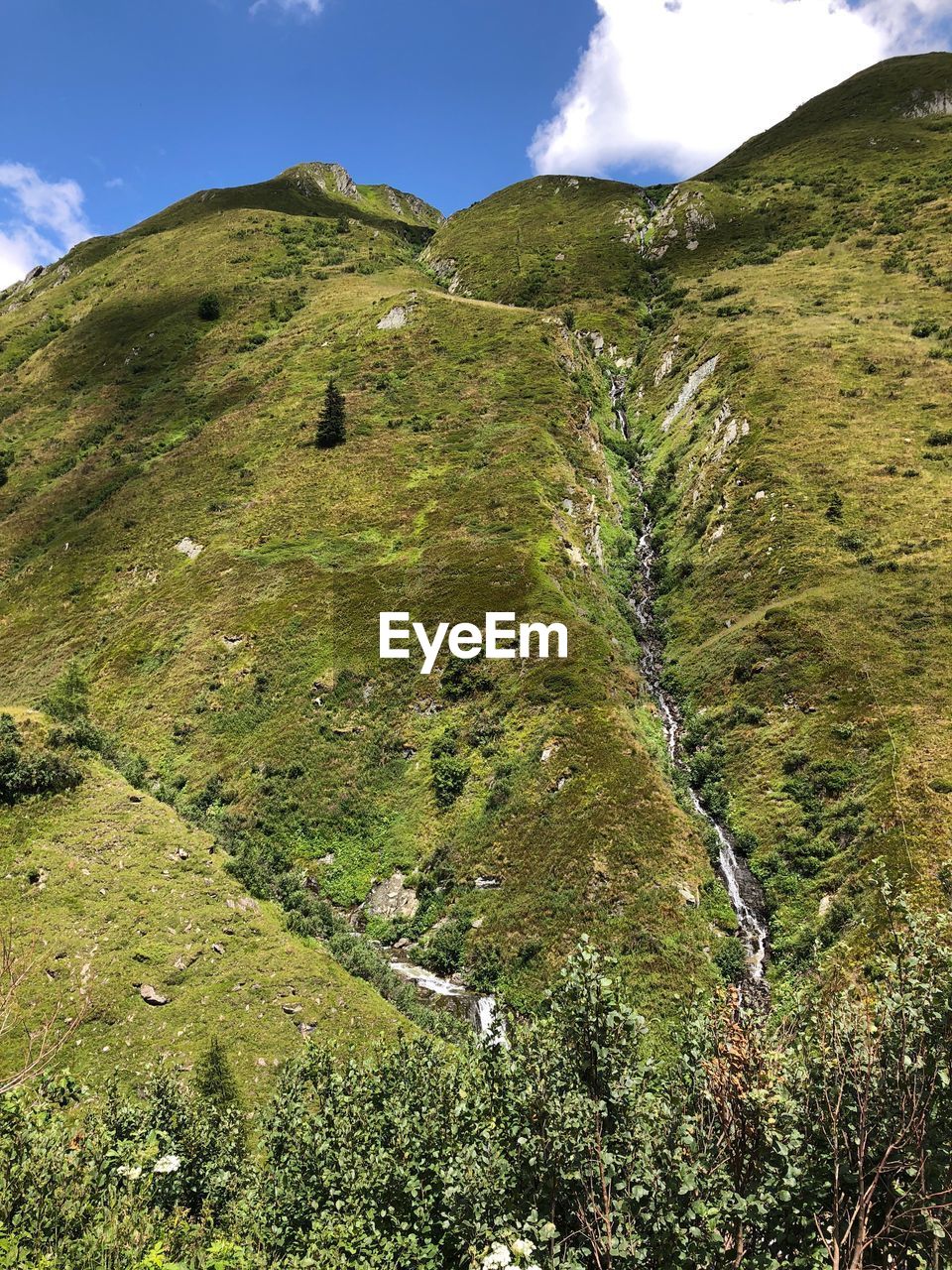 SCENIC VIEW OF LANDSCAPE