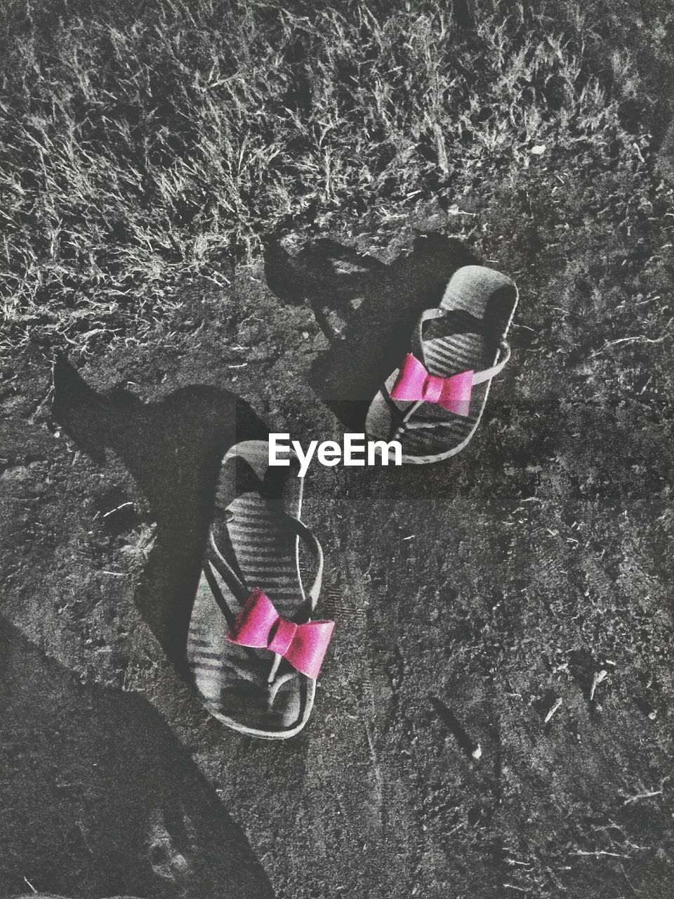 HIGH ANGLE VIEW OF SHOES ON PINK BOARD