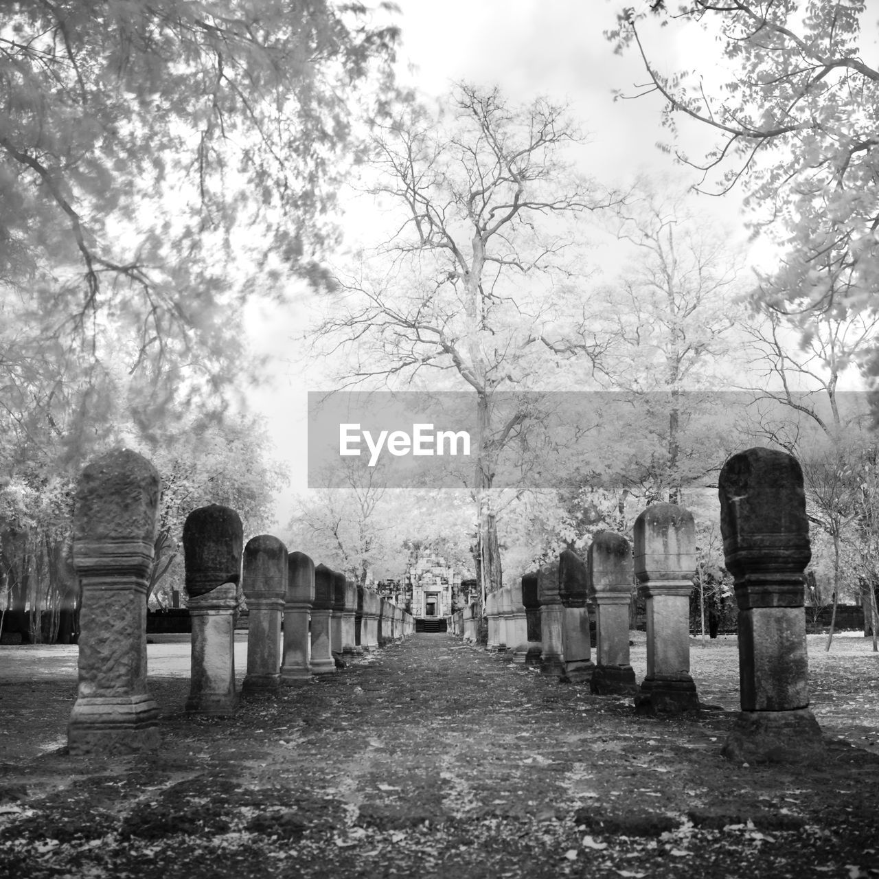 CEMETERY AGAINST SKY