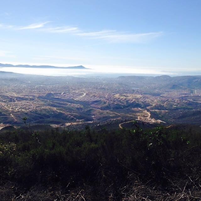 AERIAL VIEW OF LANDSCAPE