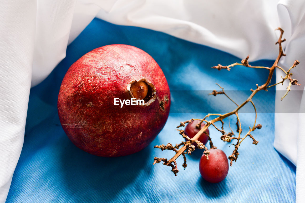 CLOSE-UP OF APPLES ON TREE