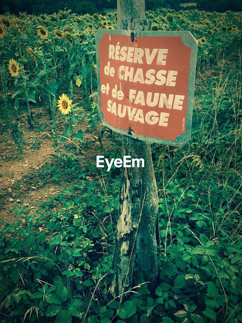 Information sign on field