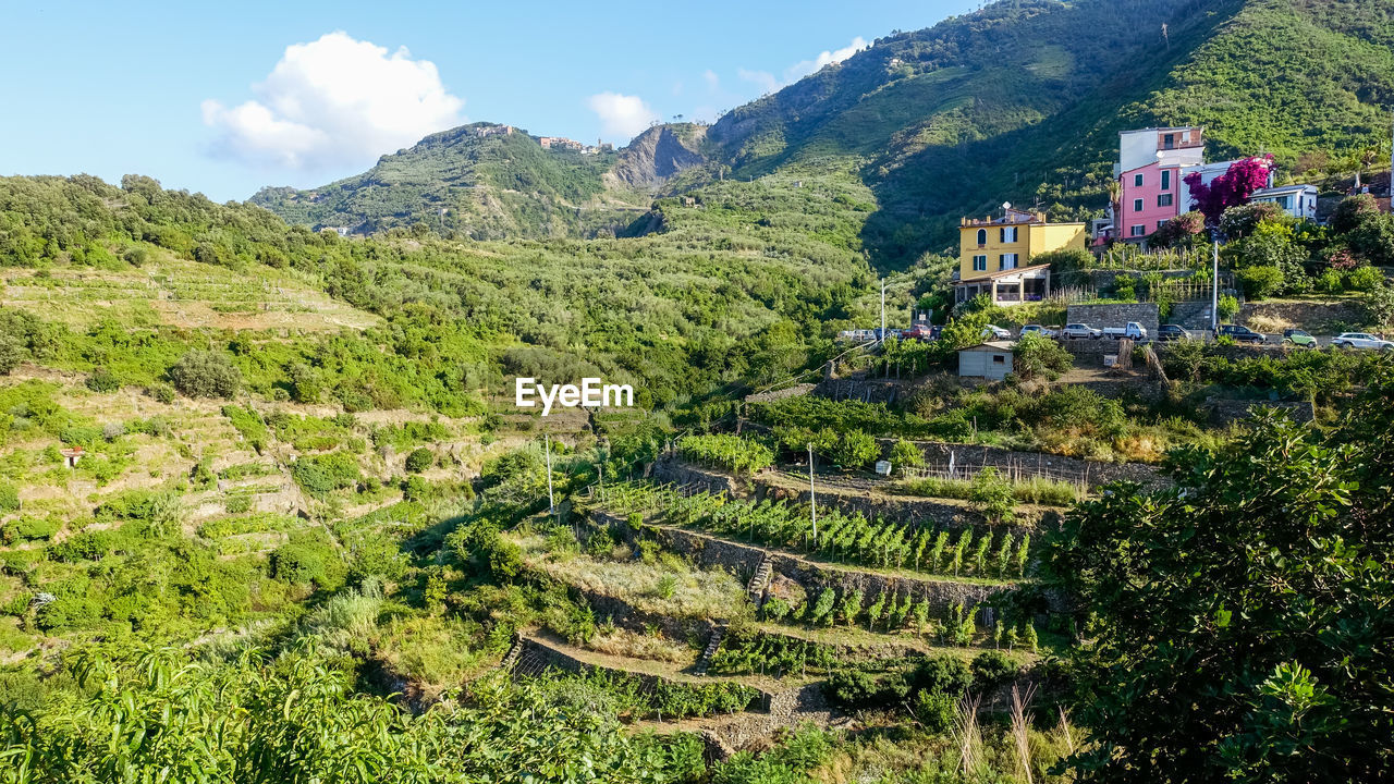 Scenic view of landscape and mountains in corniglia, cinque terre italy 