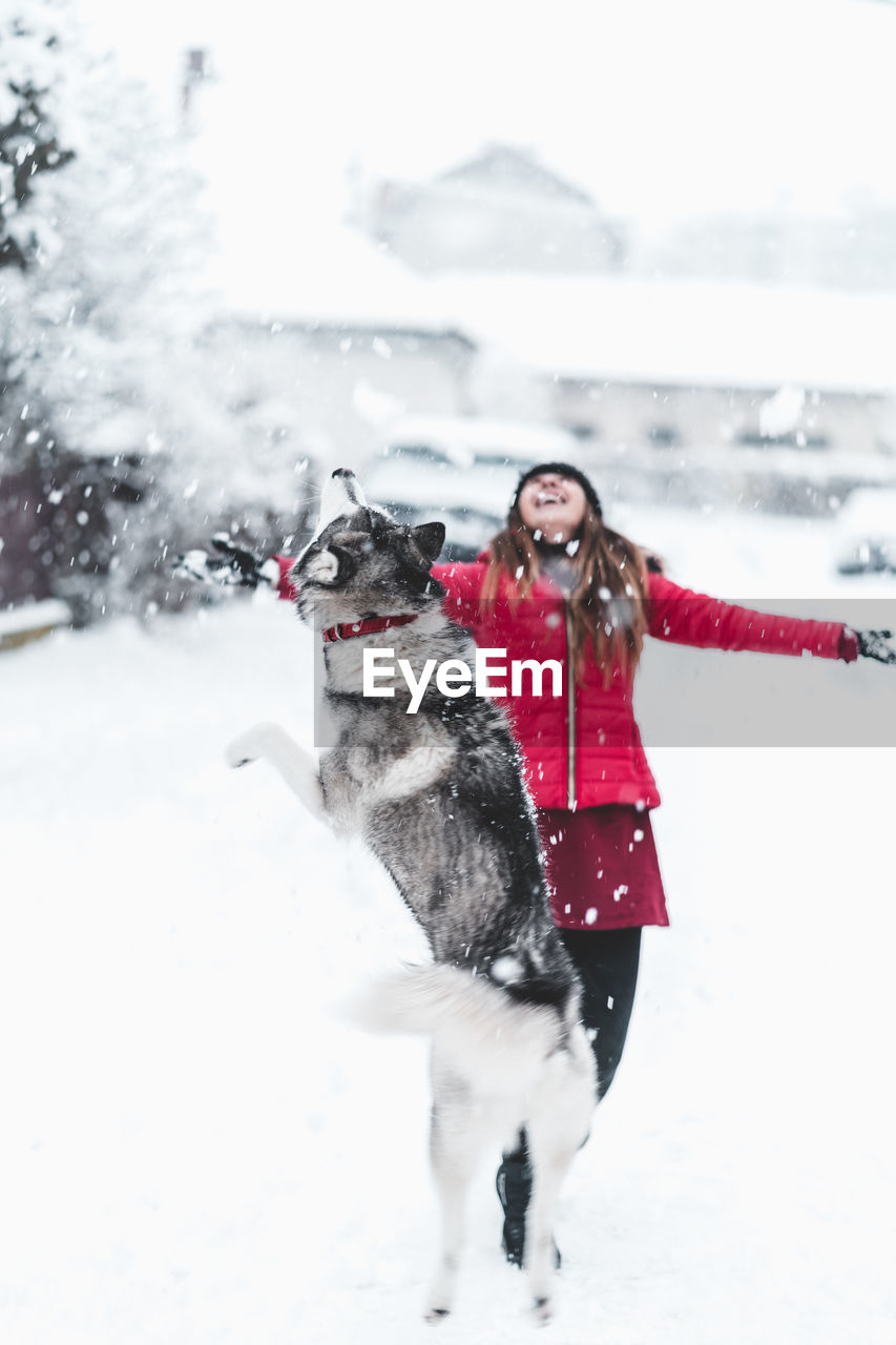 DOG ON SNOW COVERED LANDSCAPE