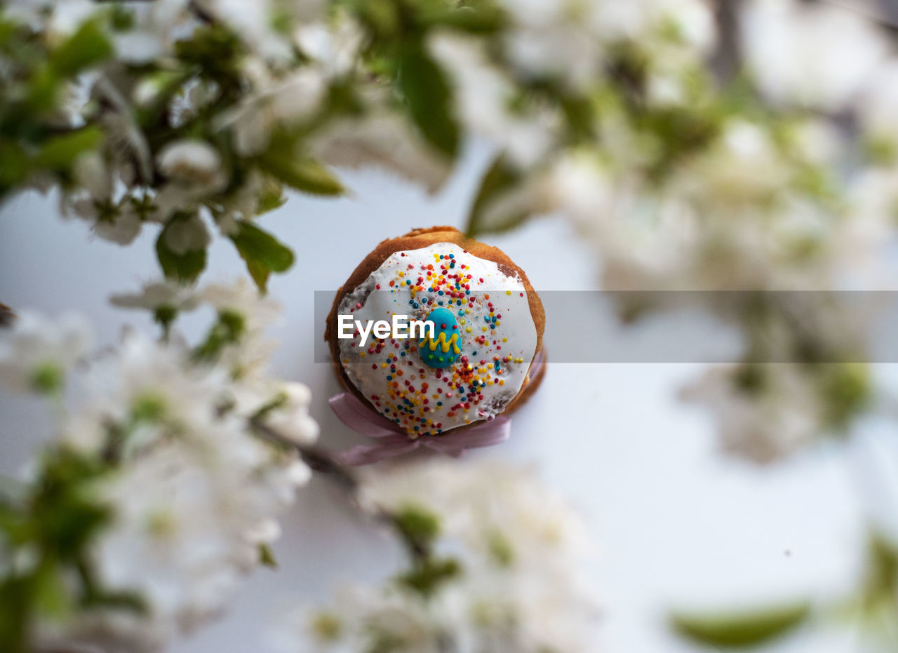 Easter composition with easter cake and blossoming tree branches