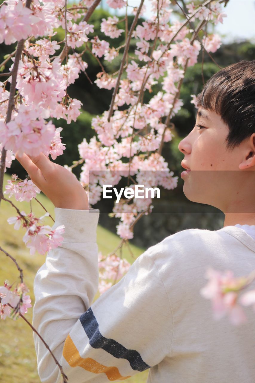 Side view of boy looking at blossoms on branch