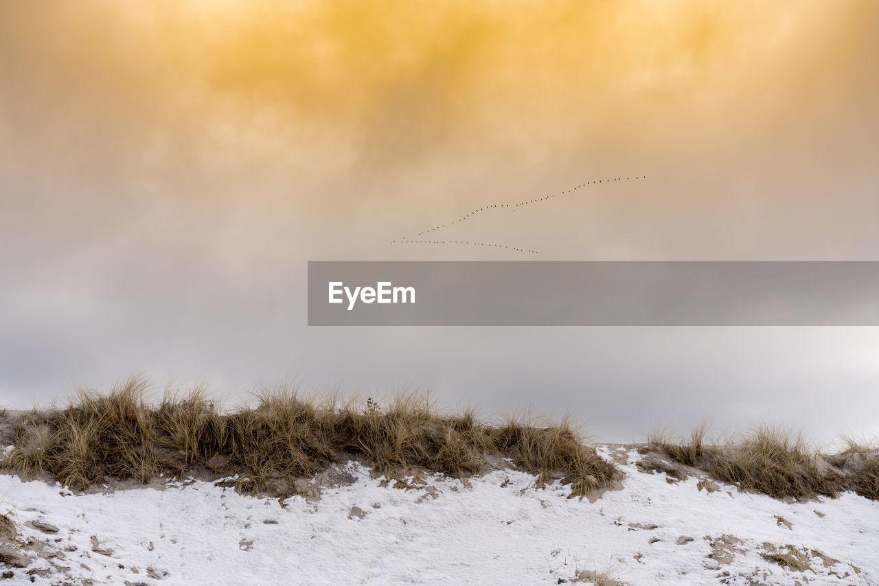 Scenic view of snow field against sky