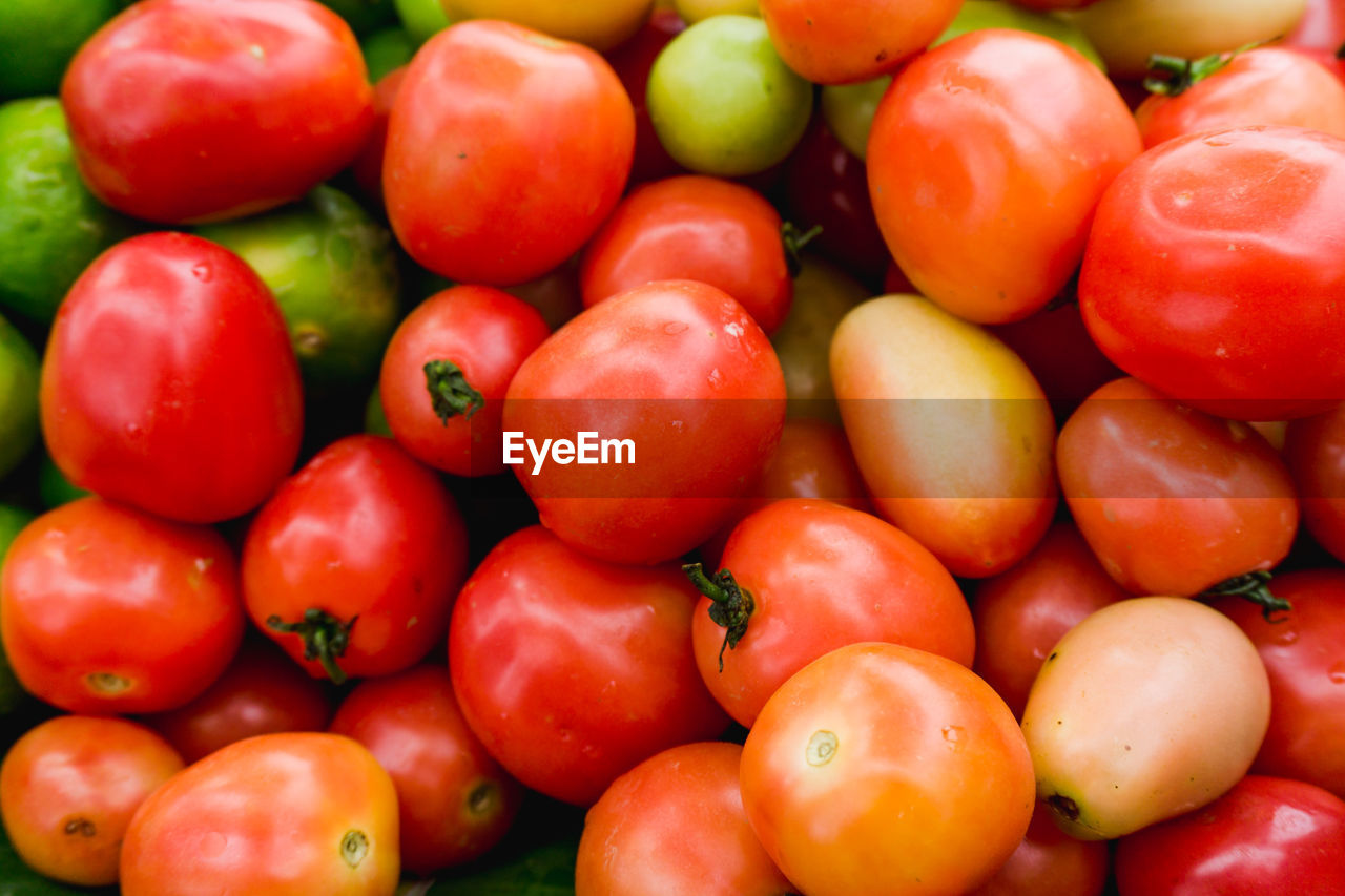 FULL FRAME SHOT OF TOMATOES