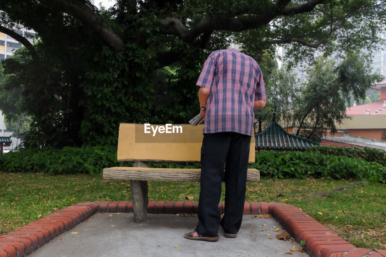 Rear view of a man by bench against tree