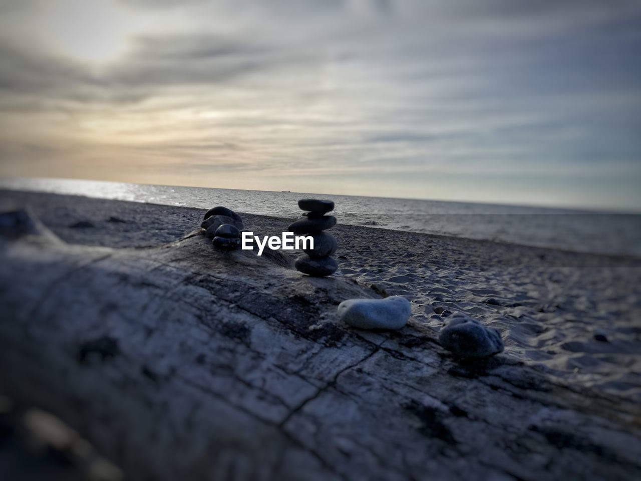 CLOSE-UP OF BIRDS ON BEACH AGAINST SKY