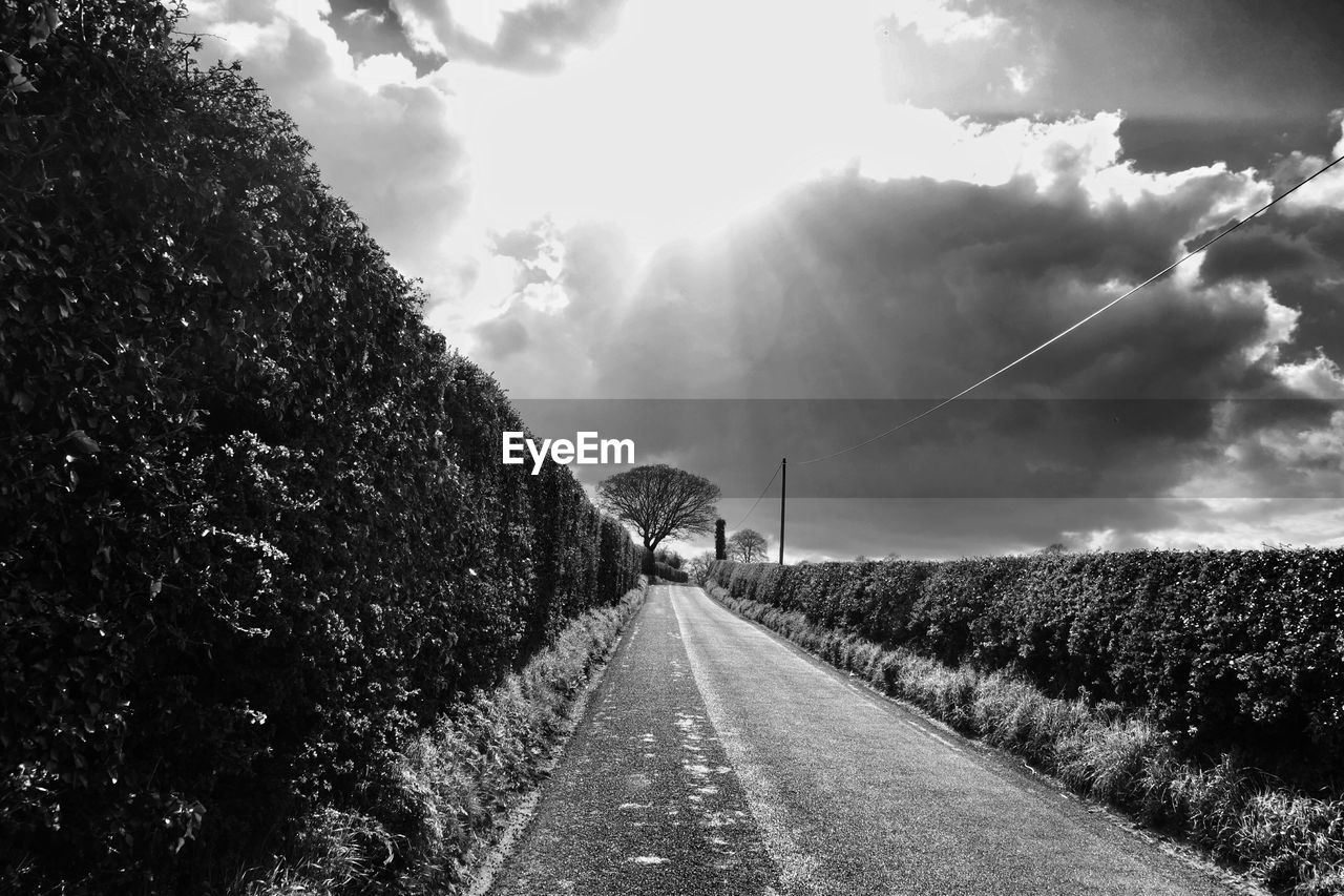 Empty road amidst plants against cloudy sky