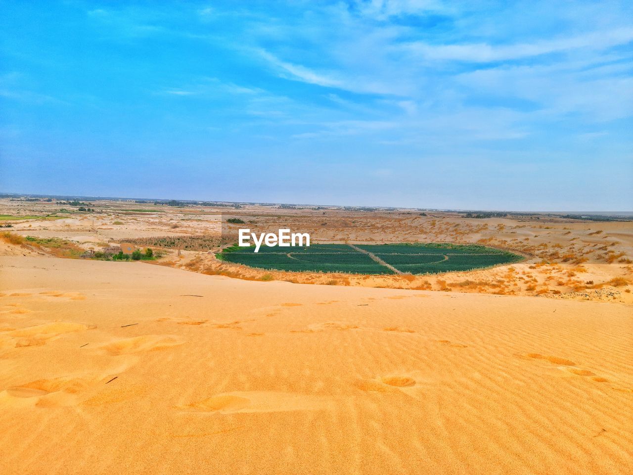 Agriculture in sahara desert