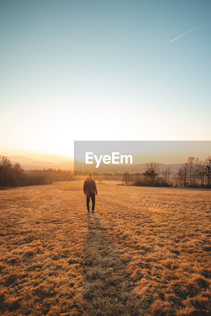 Ambitious tourist walks through the grain fields at sunset in the beskydy mountains, czech republic