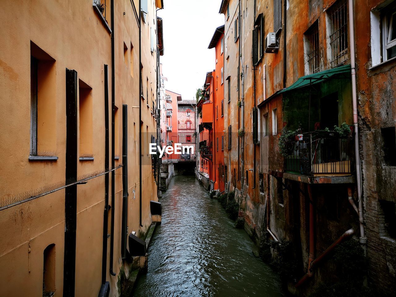 Narrow alley amidst buildings in city