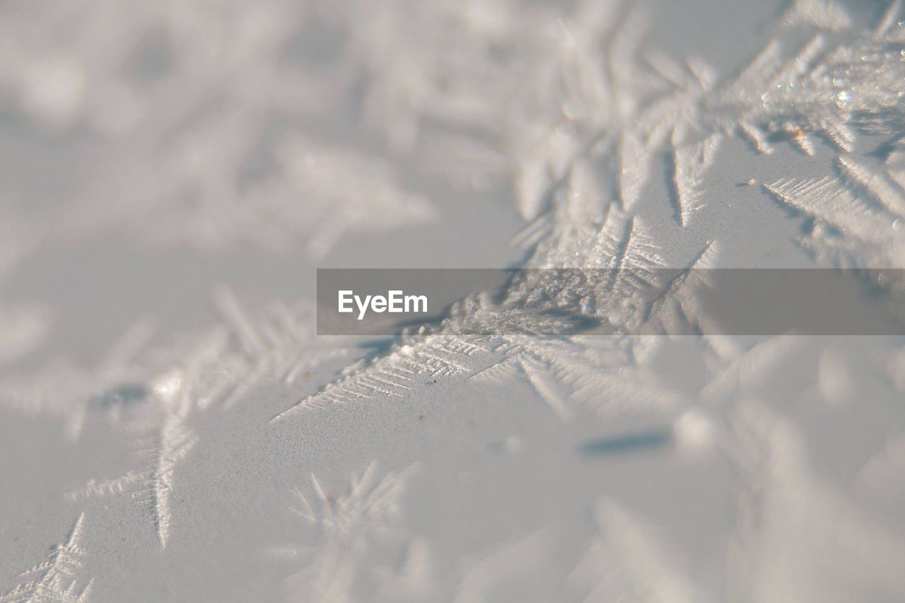 Snowflakes on glass window during winter