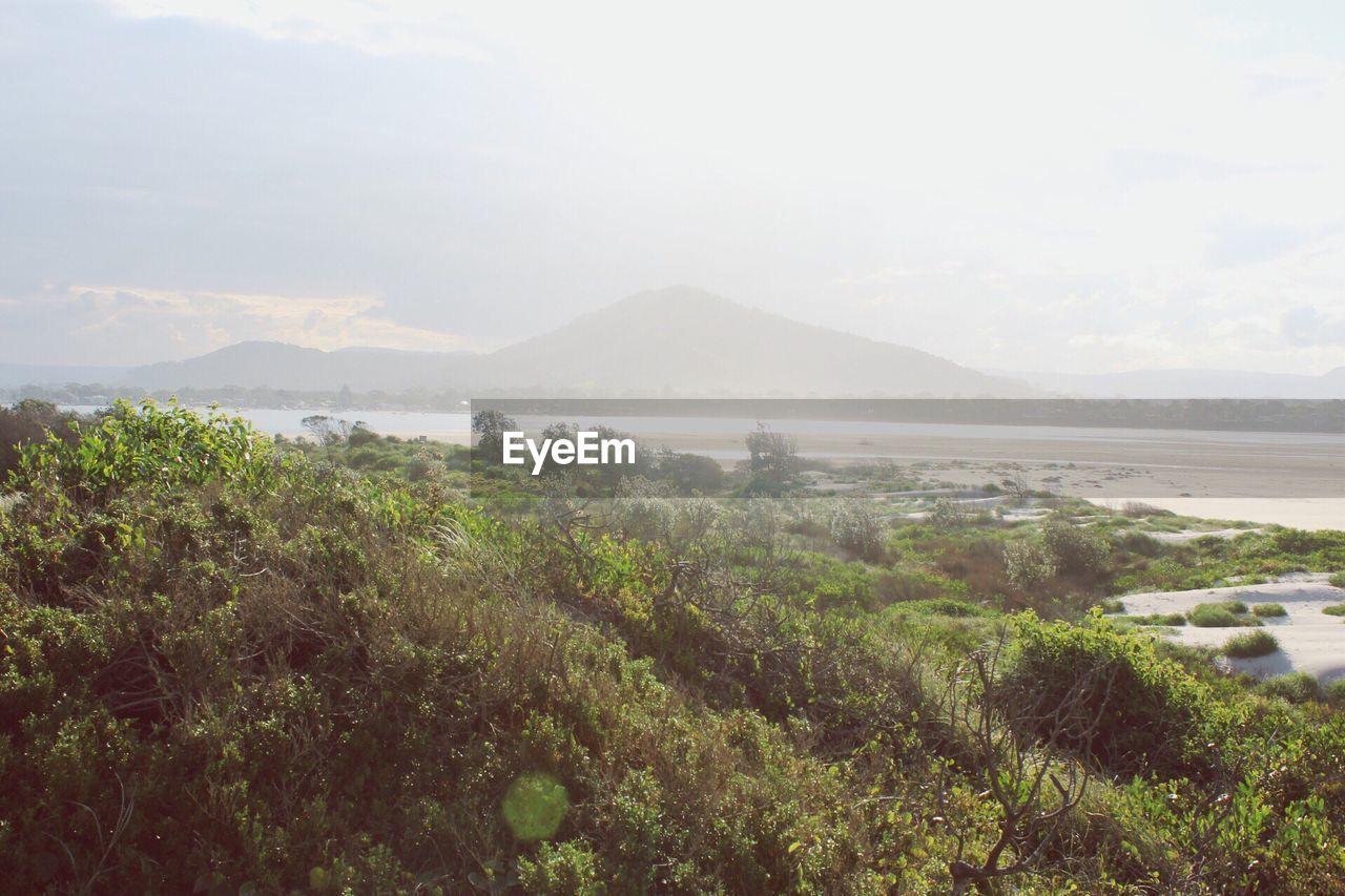 Scenic view of lake and mountains against sky