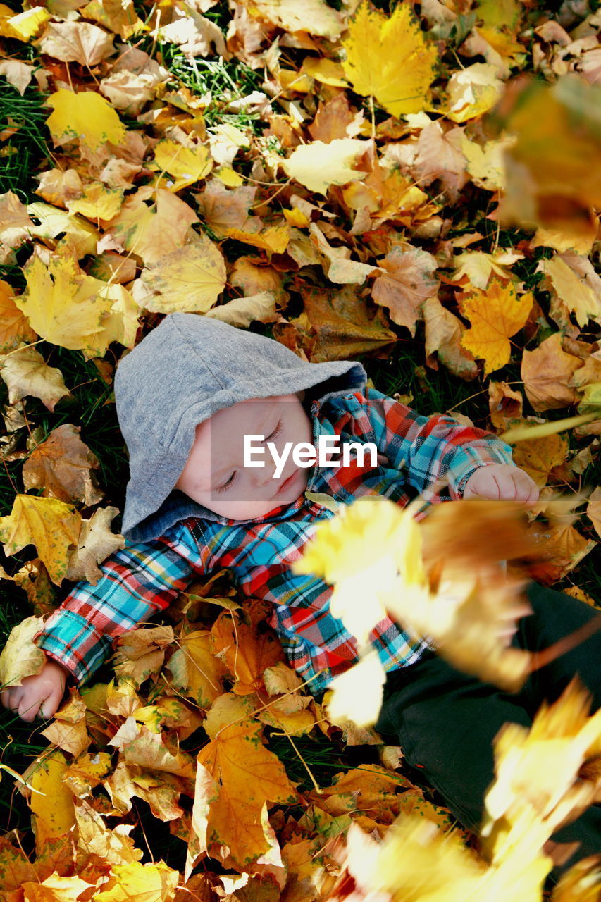High angle view of baby boy lying on autumn leaves covered field