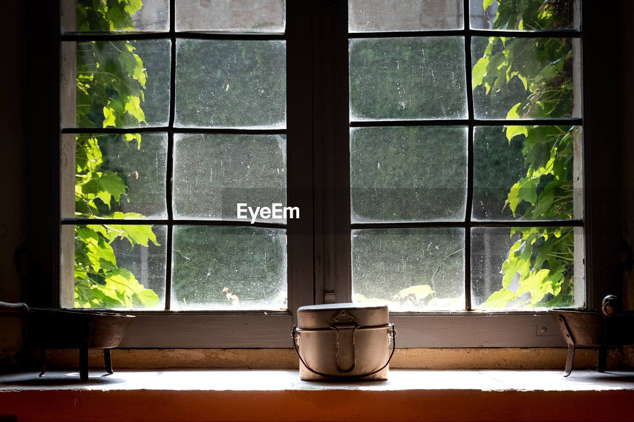 window, indoors, interior design, window covering, no people, glass, green, nature, day, wall, room, plant, house, sunlight, window sill, lighting, home interior, transparent, architecture, living room, home, wood, domestic room, light, flowerpot, tree, growth, table