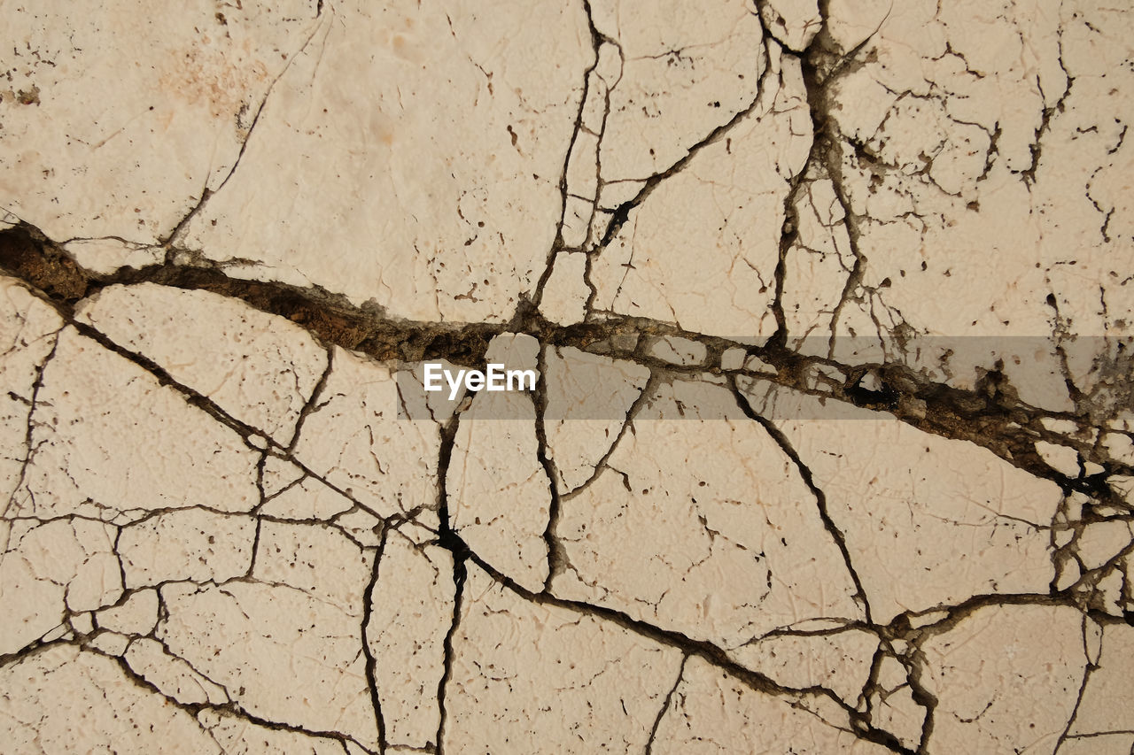 HIGH ANGLE VIEW OF DRY LEAF ON LAND DURING RAINY SEASON