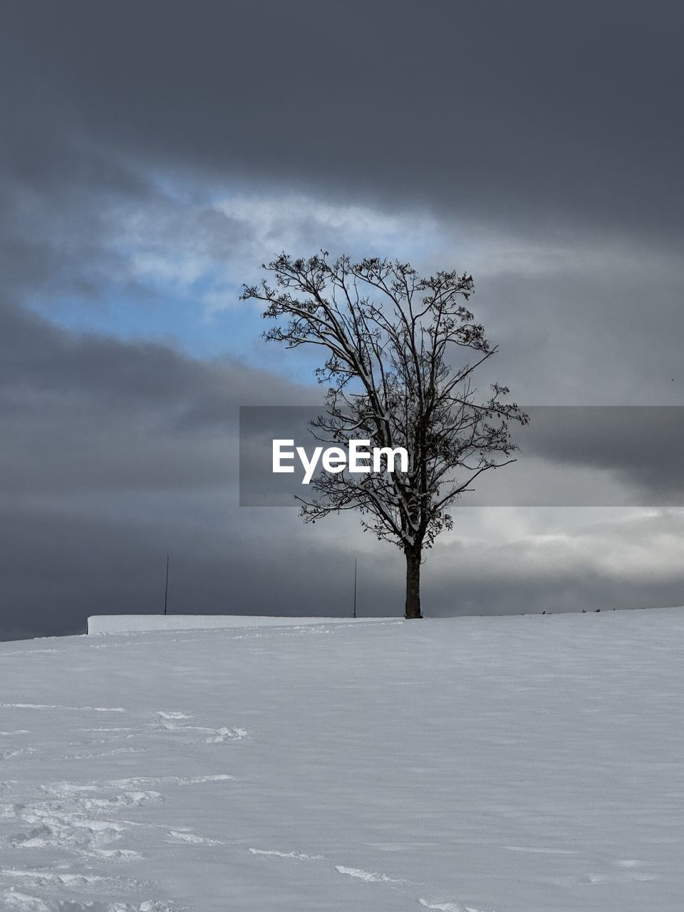 tree, freezing, winter, plant, nature, beauty in nature, reflection, fog, cloud, ice, snow, no people, sky, scenics - nature, water, environment, white, outdoors, cold temperature, tranquility, sunlight, day, storm, mist, monochrome, black and white, landscape, tranquil scene, land, frost, light