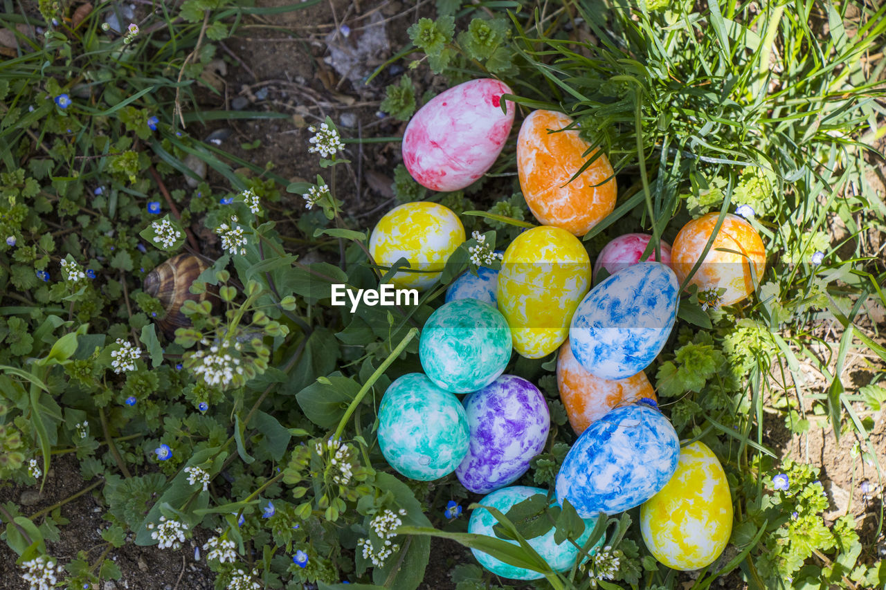 Happy easter, colorful eggs and flowers. grass and land.