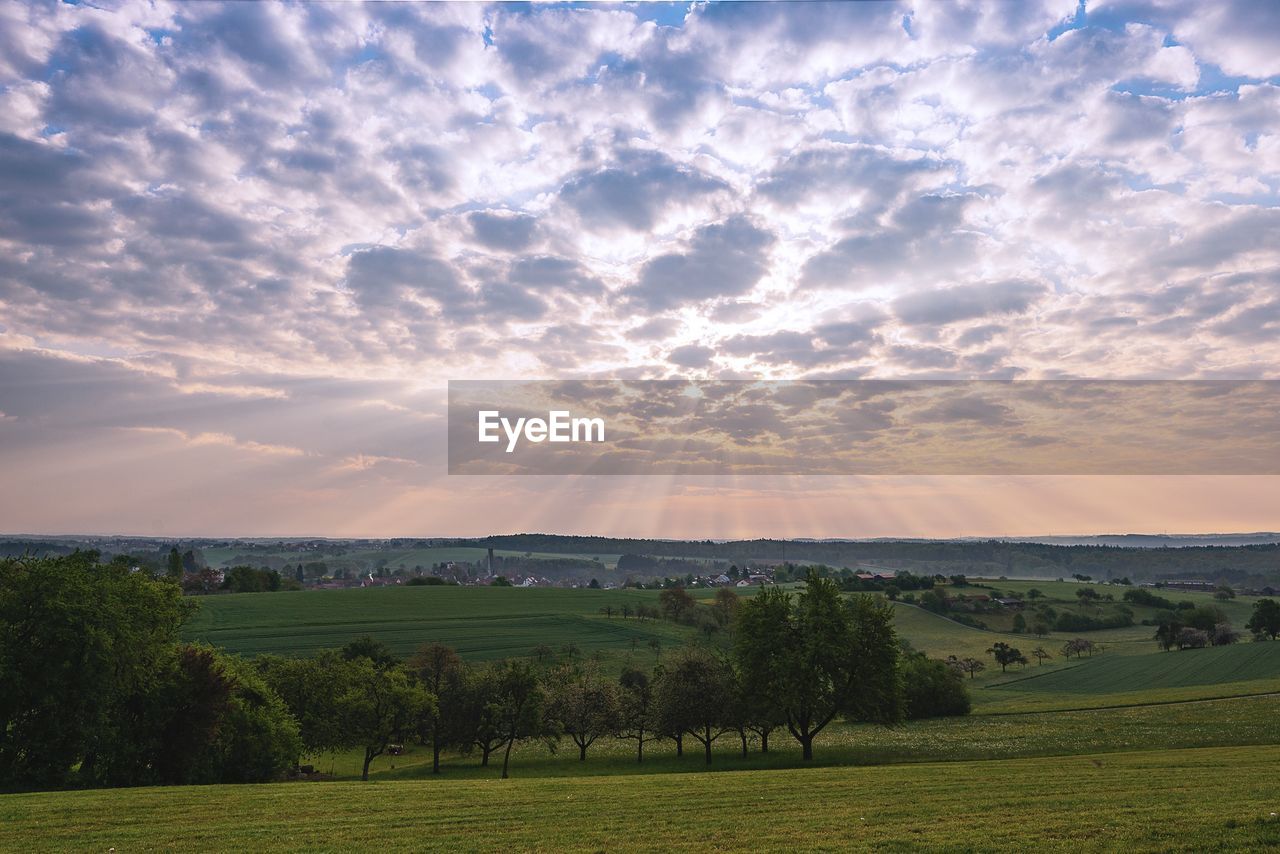 SCENIC VIEW OF FIELD AGAINST SKY AT SUNSET