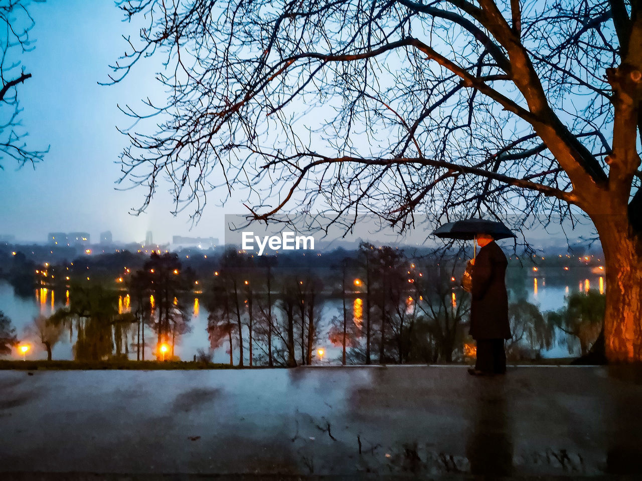 REAR VIEW OF SILHOUETTE WOMAN STANDING BY ILLUMINATED BARE TREE IN CITY