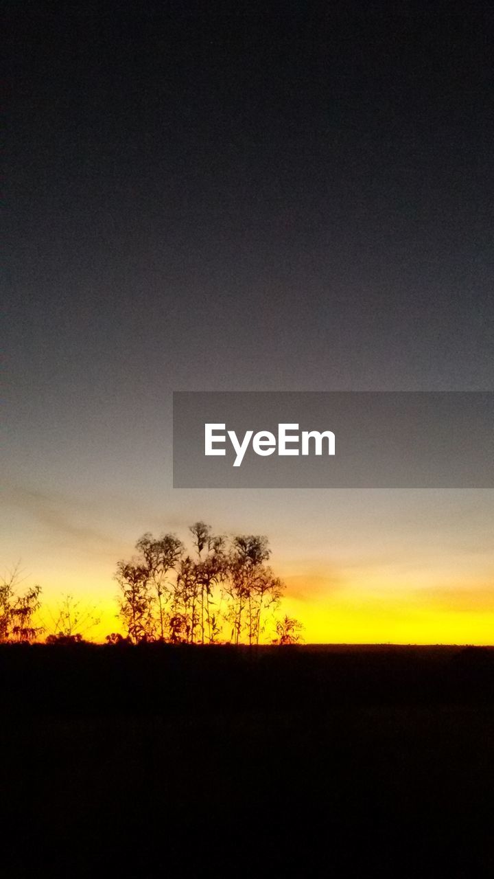 Silhouette of trees on landscape at sunset