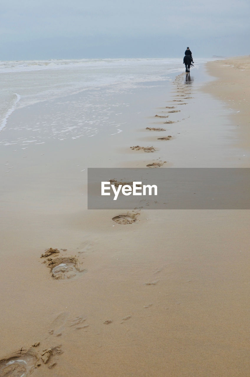 Rear view of a person riding a horse on beach