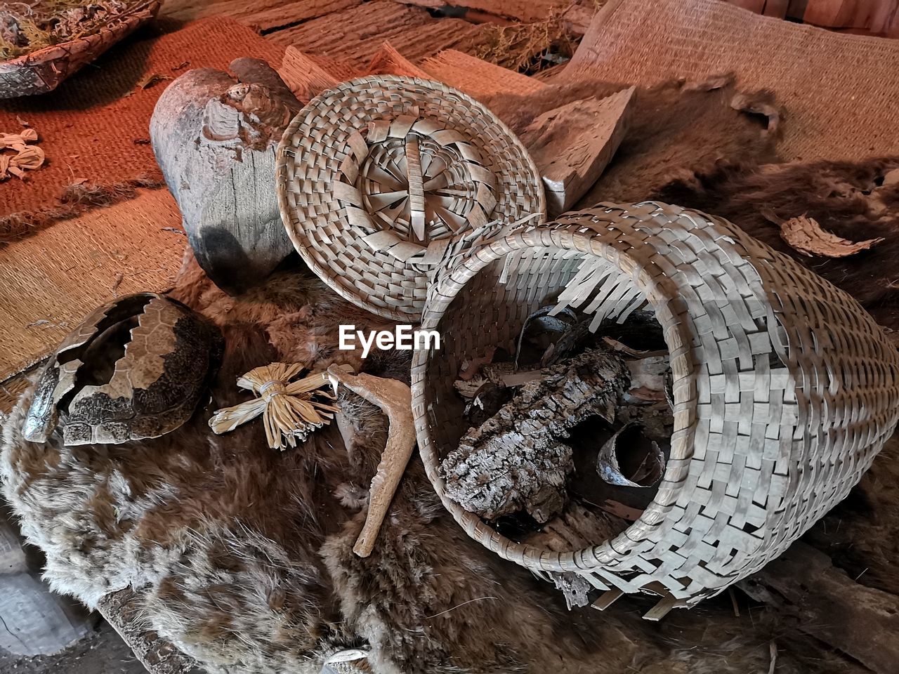 High angle view of lizard in basket