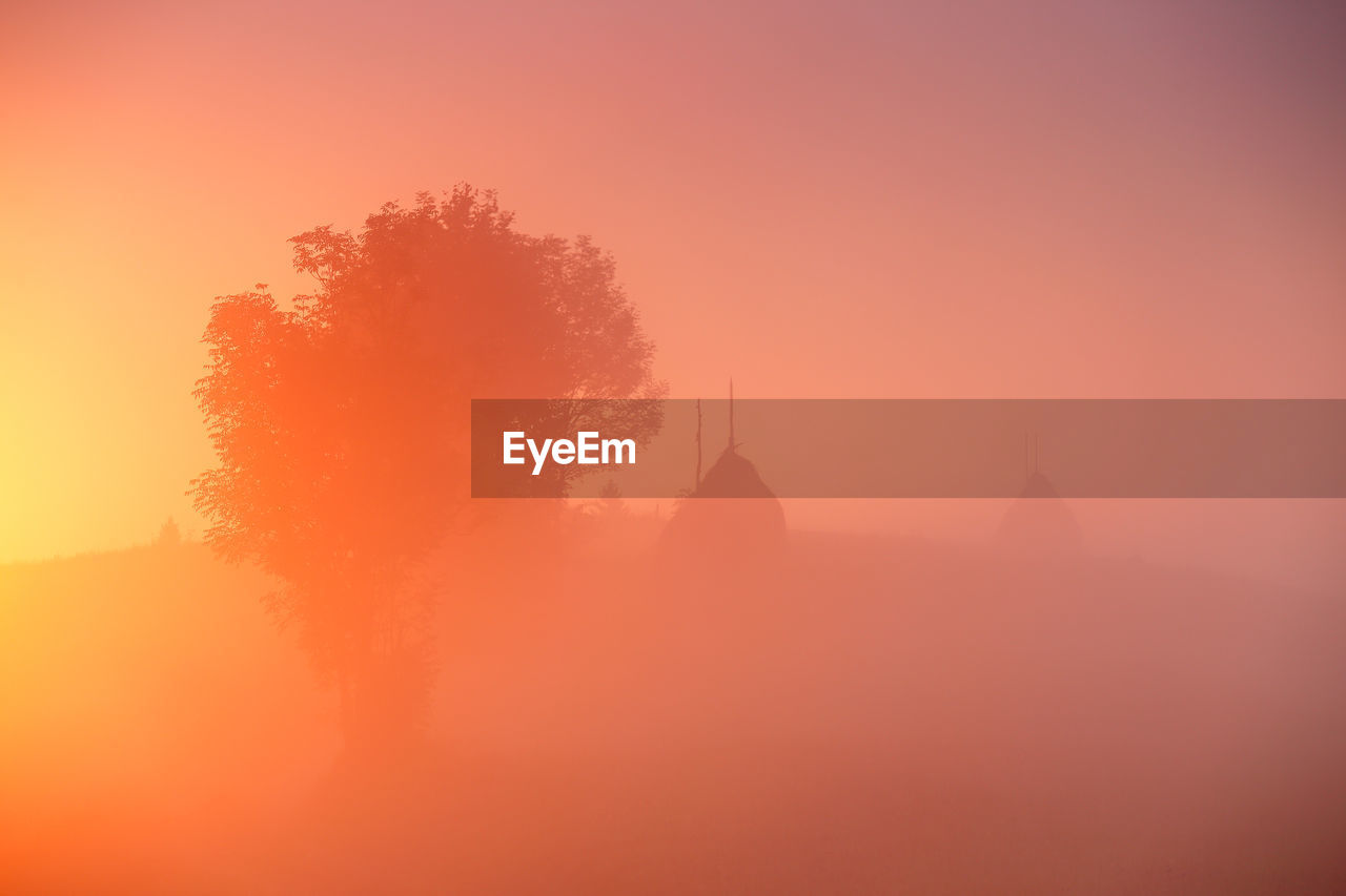 Silhouette tree against sky during sunset